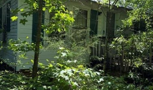 Photo #6 of 467 Crousetown, Lexington, NC 41.9 acres