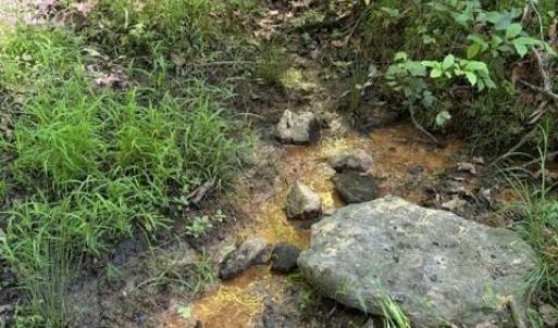 Photo #8 of 467 Crousetown, Lexington, NC 41.9 acres