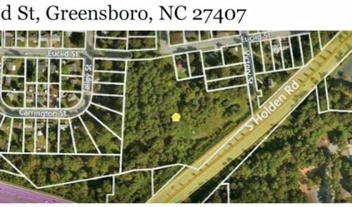 Photo #3 of 3309 Euclid, Greensboro, NC 6.7 acres