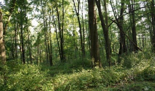 Photo #1 of 3309 Euclid, Greensboro, NC 6.7 acres