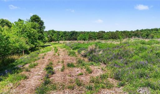 Photo #2 of 1832 Tysinger, Denton, NC 35.0 acres