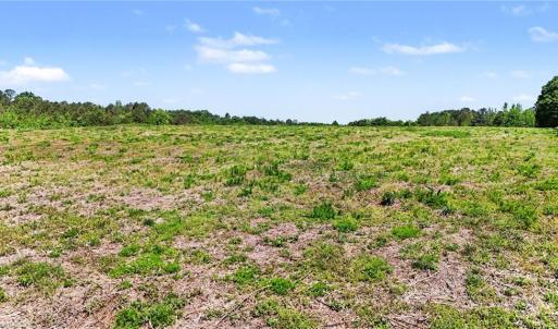 Photo #6 of 1832 Tysinger, Denton, NC 35.0 acres