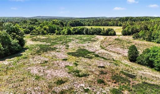Photo #7 of 1832 Tysinger, Denton, NC 35.0 acres