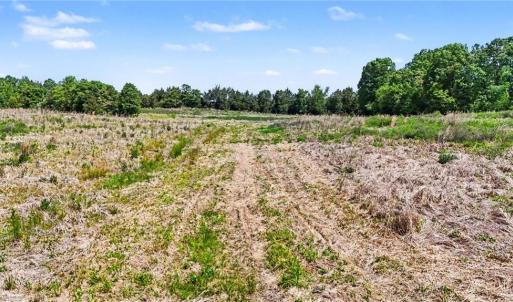 Photo #3 of 1832 Tysinger, Denton, NC 35.0 acres