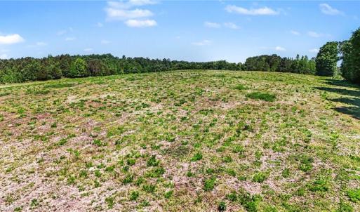 Photo #5 of 1832 Tysinger, Denton, NC 35.0 acres
