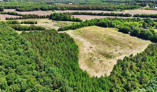 Photo #14 of 1832 Tysinger, Denton, NC 35.0 acres