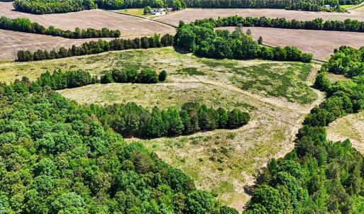 Photo #15 of 1832 Tysinger, Denton, NC 35.0 acres