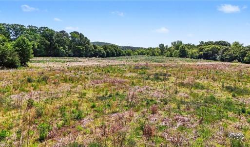 Photo #4 of 1832 Tysinger, Denton, NC 35.0 acres