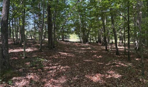 Photo #13 of Witty, Summerfield, NC 20.3 acres