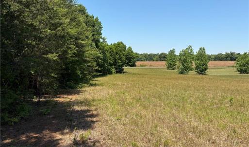 Photo #17 of Witty, Summerfield, NC 20.3 acres