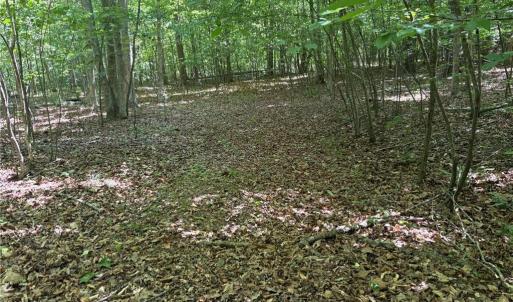 Photo #16 of Witty, Summerfield, NC 20.3 acres