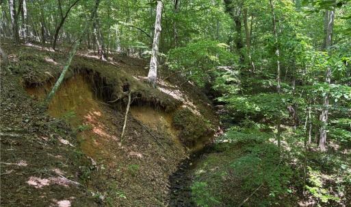 Photo #12 of Witty, Summerfield, NC 20.3 acres