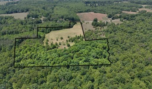 Photo #5 of Witty, Summerfield, NC 20.3 acres