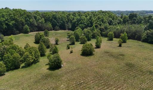 Photo #9 of Witty, Summerfield, NC 20.3 acres