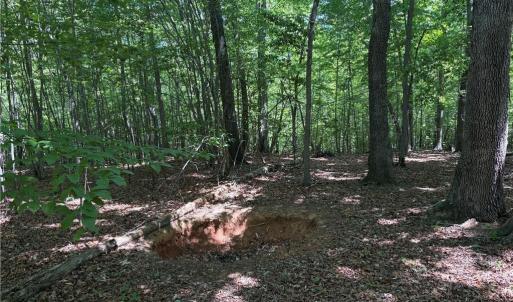 Photo #15 of Witty, Summerfield, NC 20.3 acres
