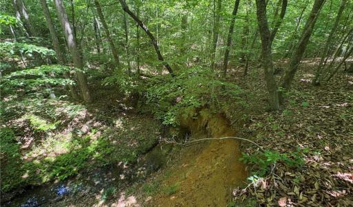 Photo #11 of Witty, Summerfield, NC 20.3 acres