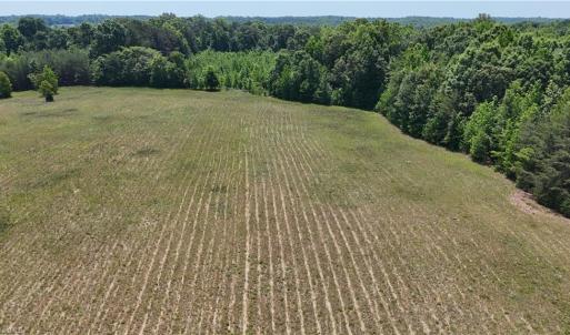 Photo #8 of Witty, Summerfield, NC 20.3 acres