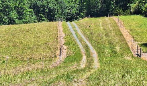 Photo #23 of Burgess Cattle, Ramseur, NC 95.5 acres