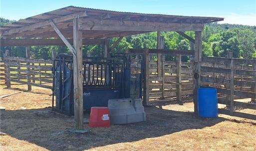 Photo #27 of Burgess Cattle, Ramseur, NC 95.5 acres