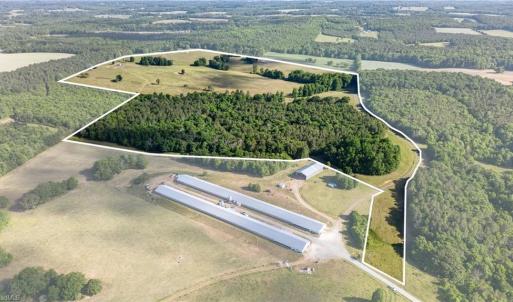 Photo #2 of Burgess Cattle, Ramseur, NC 95.5 acres