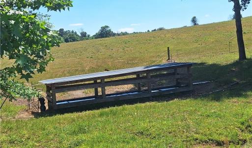 Photo #13 of Burgess Cattle, Ramseur, NC 95.5 acres