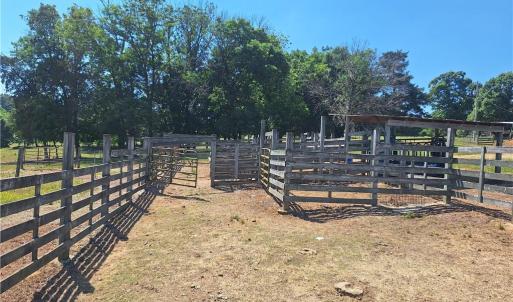 Photo #16 of Burgess Cattle, Ramseur, NC 95.5 acres