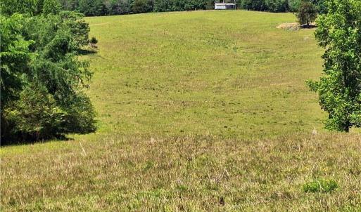 Photo #12 of Burgess Cattle, Ramseur, NC 95.5 acres