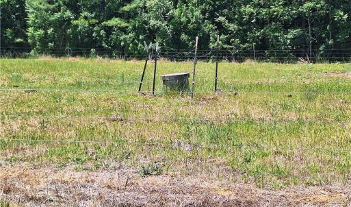Photo #22 of Burgess Cattle, Ramseur, NC 95.5 acres