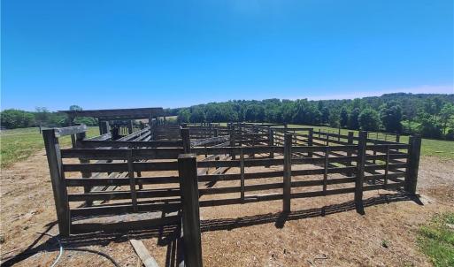 Photo #28 of Burgess Cattle, Ramseur, NC 95.5 acres