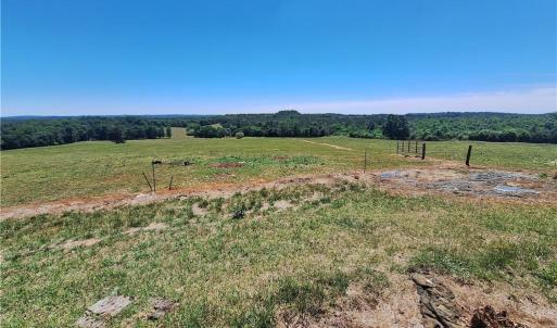 Photo #20 of Burgess Cattle, Ramseur, NC 95.5 acres