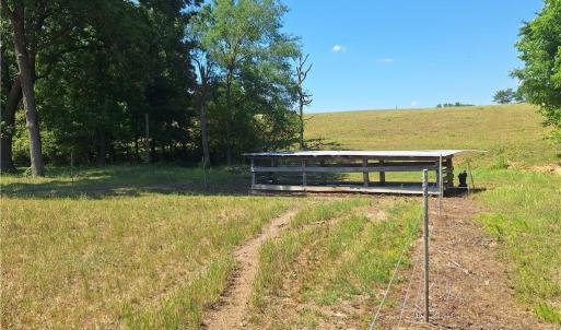 Photo #14 of Burgess Cattle, Ramseur, NC 95.5 acres