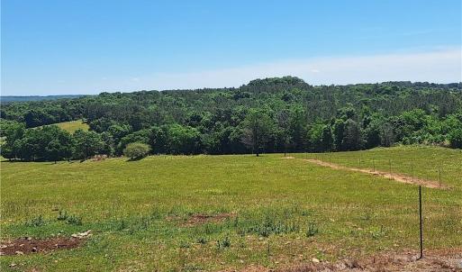 Photo #19 of Burgess Cattle, Ramseur, NC 95.5 acres