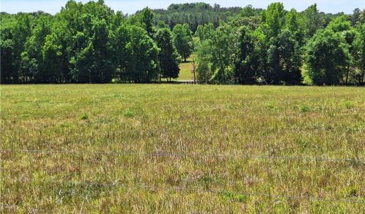 Photo #29 of Burgess Cattle, Ramseur, NC 95.5 acres