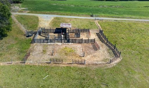 Photo #8 of Burgess Cattle, Ramseur, NC 95.5 acres