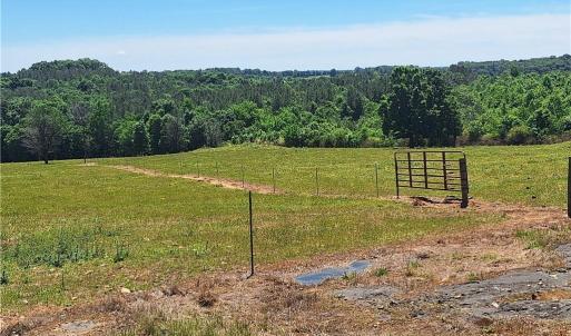 Photo #21 of Burgess Cattle, Ramseur, NC 95.5 acres