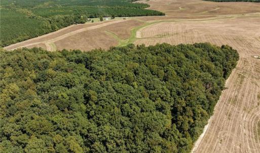 Photo #5 of 17.03 ac 0 New Mayo, Roxboro, NC 17.0 acres