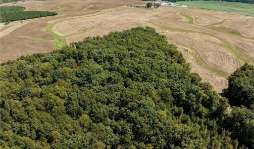 Photo #4 of 17.03 ac 0 New Mayo, Roxboro, NC 17.0 acres