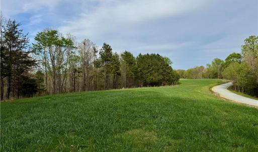 driveway and established pasture