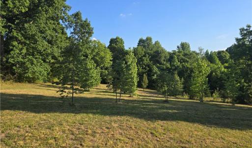 6.14 Acres of Country Bliss