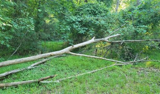 Photo #9 of 217 Cedar Ridge, Randleman, NC 6.1 acres