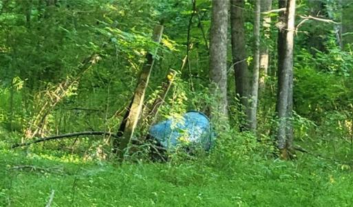 Photo #10 of 217 Cedar Ridge, Randleman, NC 6.1 acres