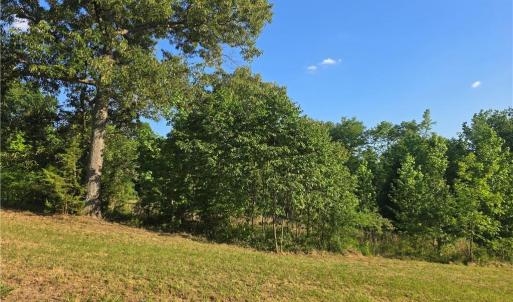 Homestead, Mini-Farm, Gardening and so much more!