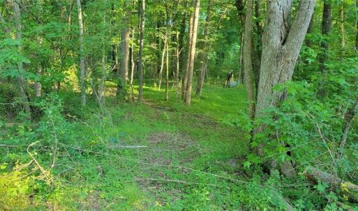 Photo #8 of 217 Cedar Ridge, Randleman, NC 6.1 acres