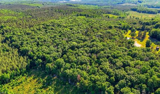 Photo #23 of Bells Grove, Denton, NC 67.6 acres