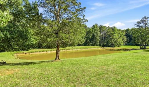 view from front porch with stocked pond