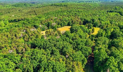 Photo #26 of Bells Grove, Denton, NC 67.6 acres