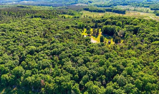Photo #22 of Bells Grove, Denton, NC 67.6 acres