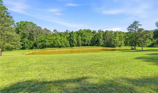 stocked pond