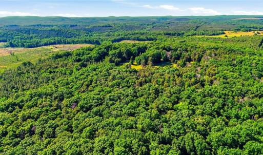 Photo #34 of Bells Grove, Denton, NC 67.6 acres