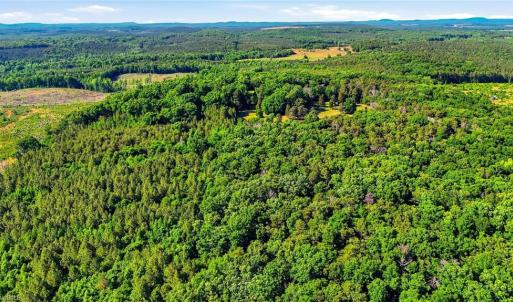 Photo #33 of Bells Grove, Denton, NC 67.6 acres